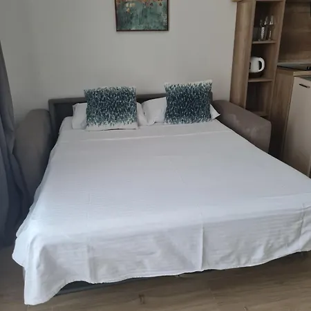 Djuro Rafailovic Apartment